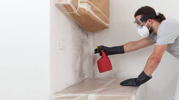 Professional Hvac And Air Duct Mold Remediation technician working in Hampton, MN